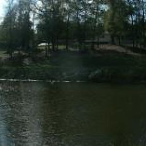 Our catfish pond.