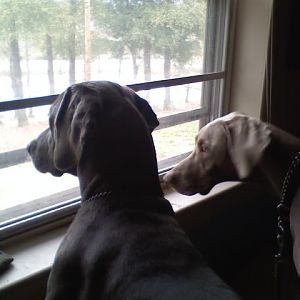 Hunter & Remy.