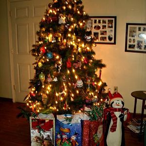 2011 tree.