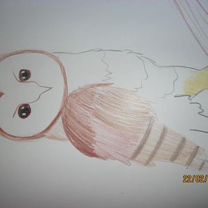 Barn owl. Pencil on paper.