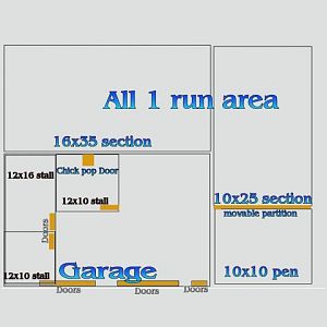how my coop and runs are set up