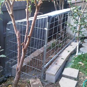 frame of the coop run. used cycle fence poles and cattle fencing. this is on a fairly steep slope. I terraced the floor with cinder blocks. you can see a small apple tree and a plum tree.