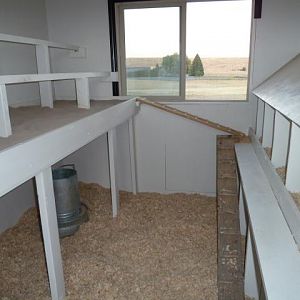 Before the "Tenants" moved in