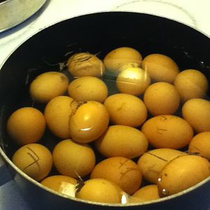 24 hidden eggs in the neighbor's yard.