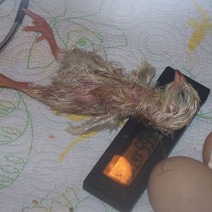 feels so good to be out of that cramped shell !