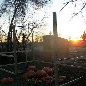 Day 1 Set Posts began framing