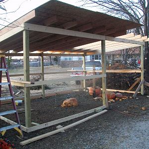 Day 2-3 Finish framing walls, rafters, and some of the decking on the roof.