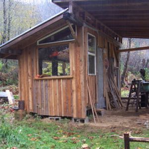 This little 7x11' building is my personal cabin and sewing machine workshop. There used to be a vintage travel trailer (my sewing room!) parked under that big roof, but it has been moved, leaving all this wonderful dry, roofed space to build a place for my future flock of banties. There is a small woodstove in the cabin as well as electricity for lights and radio.  I live far out in the woods on a funky hippie farm with many workshops, studios and outbuildings in addition to the main house, shared by 5 adults and will be using recycled materials as much as possible. The cabin is 70% re-used free materials and sits on a gentle rise with trees and a meadow nearby. The climate is mild marine western Oregon -  a lot of rain, cold damp winters, mild dry summers. Still researching the best breeds of chickens for me, and if i want to go with chicks or started pullets.  I'm getting chickens for soil-building & landscape help, eggs, companionship and beauty.