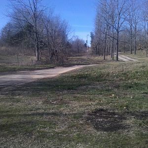 view from house to drive