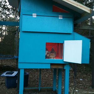 IMG_4840.JPG  Coop in progress, concerned about vents at top;do they need to be covered in cold temps?
