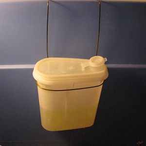 LL