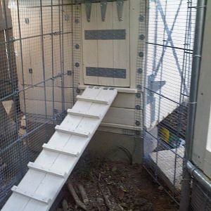looking toward the coop from inside the run. Completed the transition area between the coop and run.