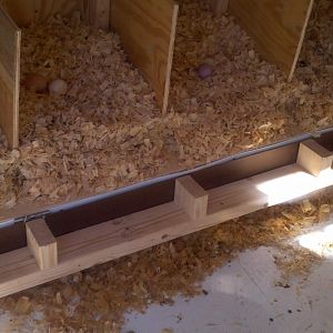 Clean out drop down for nesting boxes
