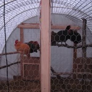 hoopcoop