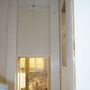 Automatic coop door