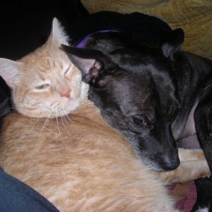 Louie and Brunella