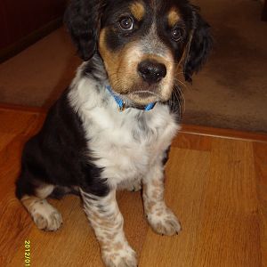Cooper