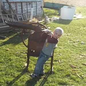 Will shelling some corn.