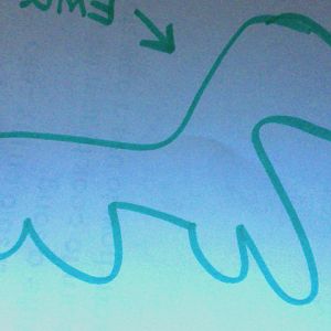 Emu! (sort of . . .)