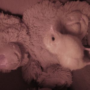 Here she is with her Teddy Bear