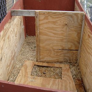 Inside dog house with center dividinf wall knocked on its side.