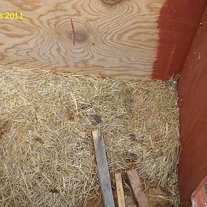 Looking down from the west side. Note part of dog door in lower rt. &wind deflector on left. date is when pict was taken and some work done.