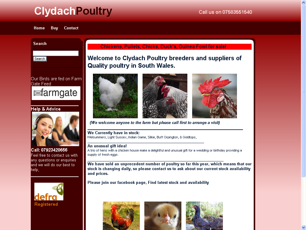 The Current Site!