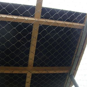 Underside of roof prior to adding vertical supports on east (right) side to provide roof  pitch.