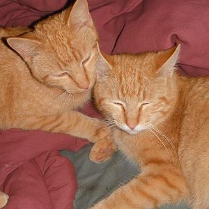 Okie and Sooner.
