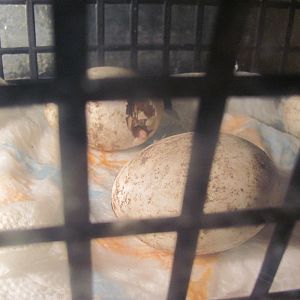 001.JPG
come out! lol