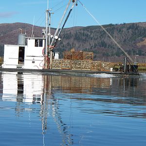 Willapa River Oyster Boat