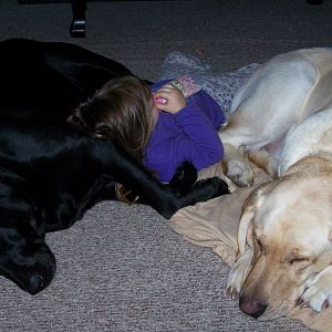 Daisy and Duke babysitting.