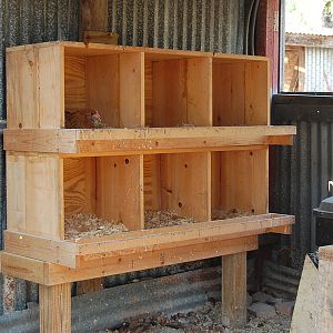 the nest boxes