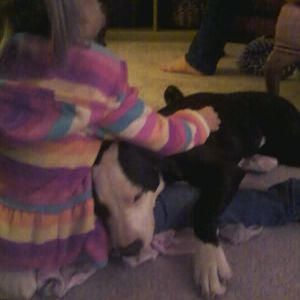 This is one of my favorites. My niece, Gabby, with my pit mix Murphy. Murphy is a real people pleaser and has yet to meet a person she didn't love, even if usually it is little too much.