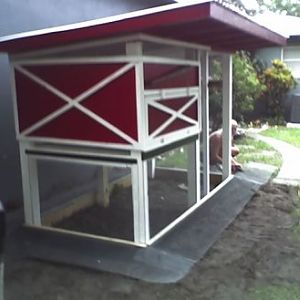 Fowl territory almost finished......looking good!
