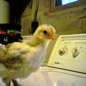 We are growing FAST!