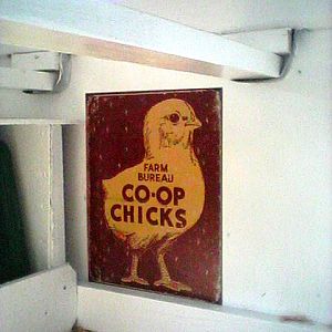 Inside the hen house of Fowl Territory......wish it could always look this clean!