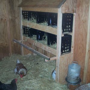Made some egg crate nest boxes we can slide out and clean.