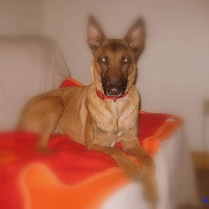 Dedra Sue Love  my girl!!