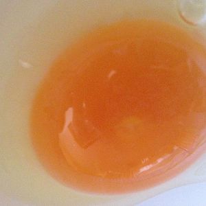 egg1