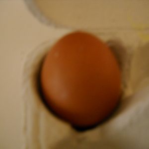 First egg