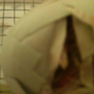 Peekaboo! I see you!