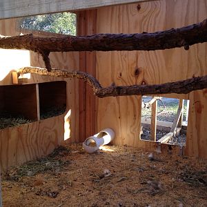 Inside the coop showing feeder, roosts and nestboxes