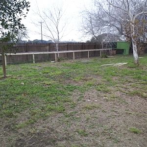 The coop and run.  It's nice to not have to weed-eat that fence anymore.