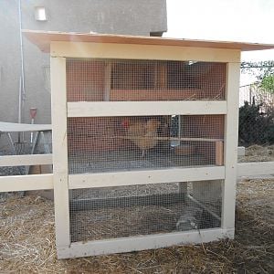 Our "chicken litter" has three stories, perch and two nesting boxes. Comfortably holds our 8 standard hens overnight and in bad weather.