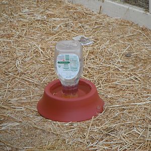 my homemade recycled chicken waterer!