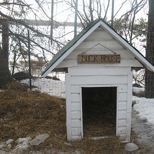 IMG_4560.JPG
This WAS the duckhouse,much too small,,but did the job up till yesterday :)