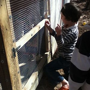 closing up the brooder