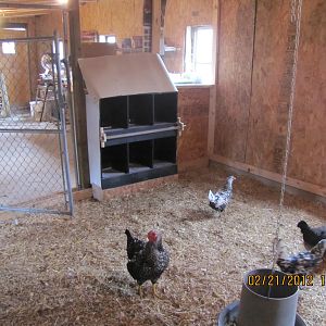 Front side of roll out nesting box