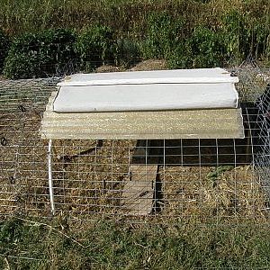 Feeding module cover